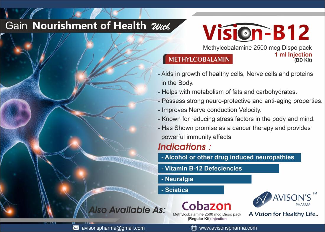 VISION-B12